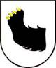 logo mrągowoa